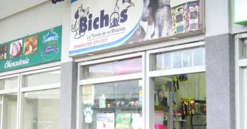 BICHOS LA TIENDA DE SU MASCOTA BOGOTÁ BICHOS LA TIENDA DE SU MASCOTA BOGOTÁ